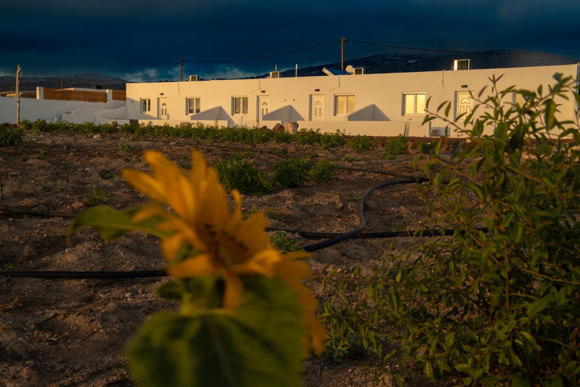 Calma Eco Houses Sunset View Emporio  Luaran gambar