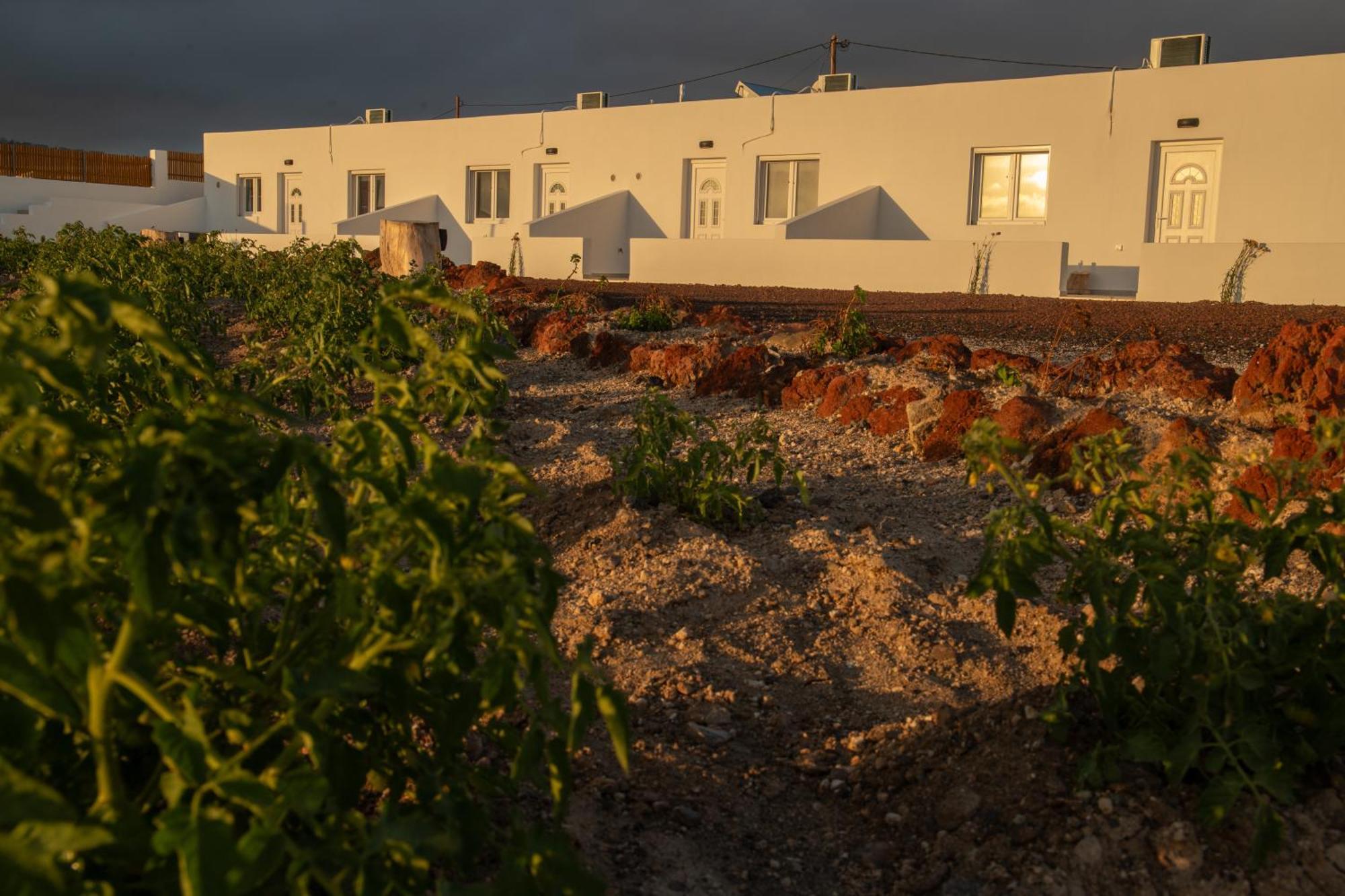 Calma Eco Houses Sunset View Emporio  Luaran gambar